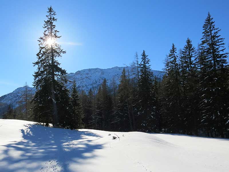 Buchbergkogel